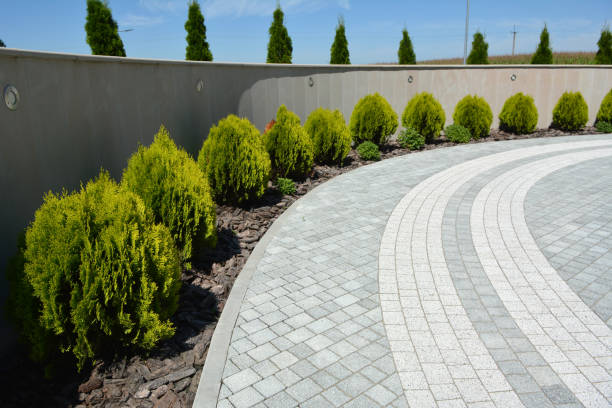 Best Affordable Driveway Paving  in South Roxana, IL
